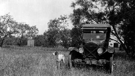 Yoho's bird dog