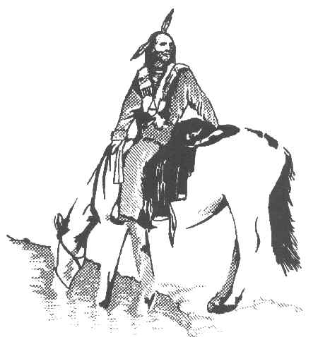 THE MIGHTY COMANCHES