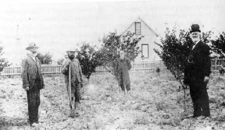 Photo of Gottleb 
Orchard in 1887