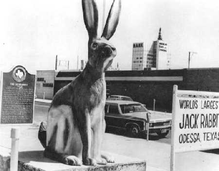 Worlds Largest Jack 
Rabbit