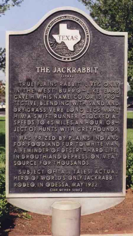 Jackrabbit Marker